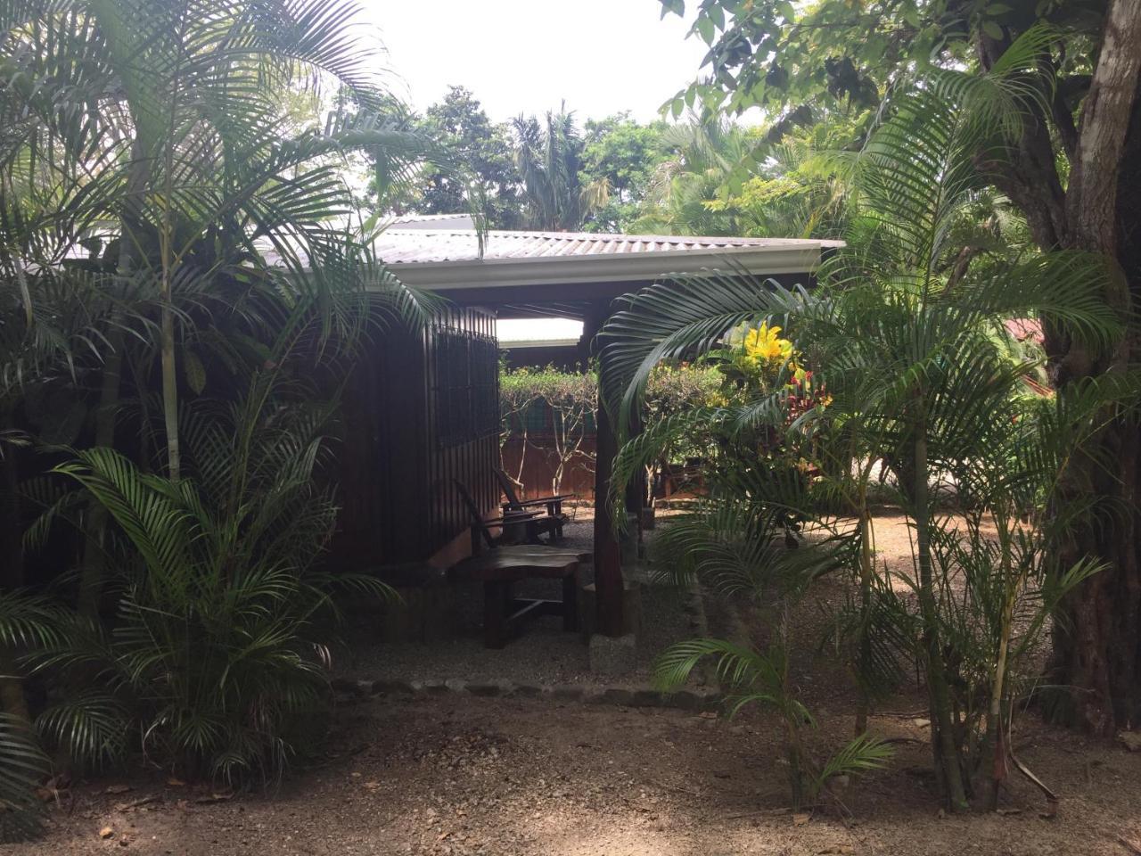 Mal Pais Surf Camp Hotel Playa Santa Teresa  Exterior photo